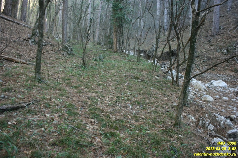 kamderek-13.JPG