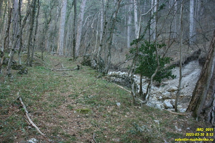 Камдерек