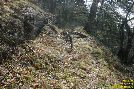 Камдерек