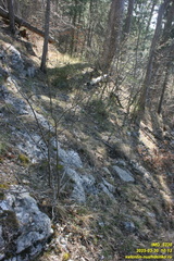 Камдерек