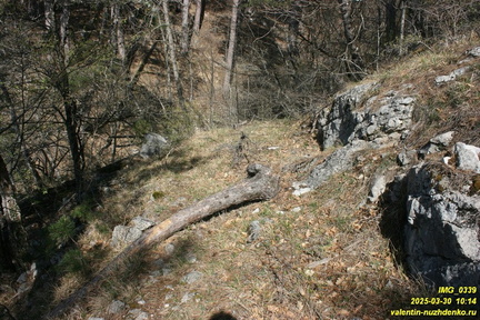 Камдерек