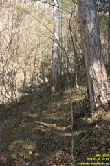 Камдерек