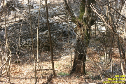 Камдерек