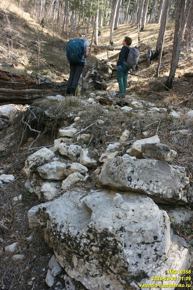 kamderek-496.JPG