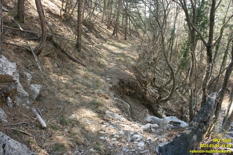 kamderek-497.JPG