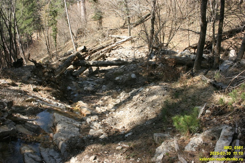 kamderek-498.JPG