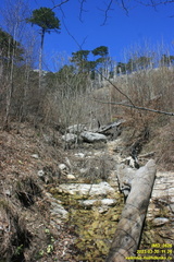 Камдерек