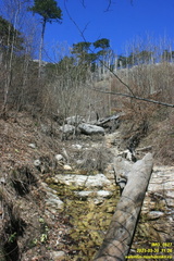 Камдерек