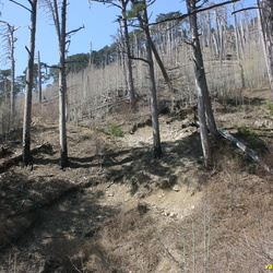 4 Дорога Лапата-Йол в районе пересечения крайнего правого истока