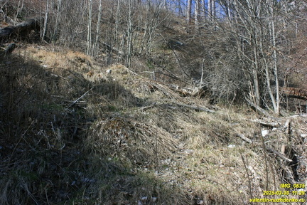 Камдерек