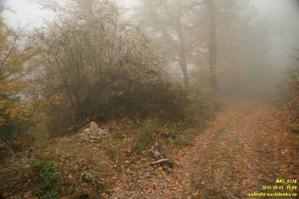 Дорога на Биюк-Лапату