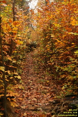 Лапата-Богаз