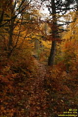 Лапата-Богаз