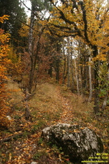 Лапата-Богаз