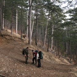 Все фото дороги на Биюк-Лапата