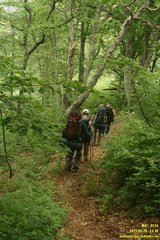 Лапата-Богаз