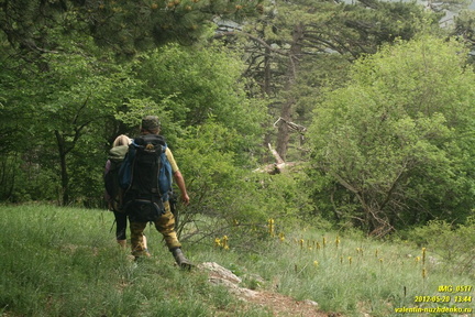 Лапата-Богаз