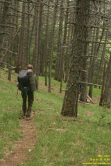 Лапата-Богаз