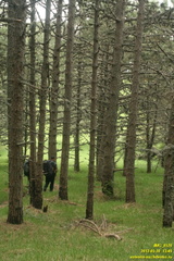 Лапата-Богаз