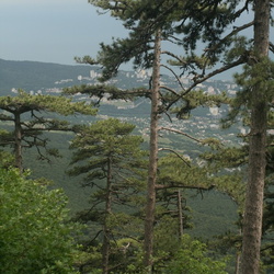 0 Все фото Лапата-Йол