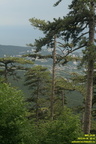 0 Все фото Лапата-Йол