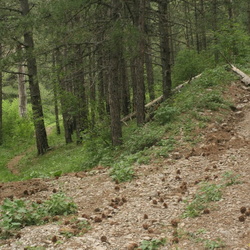 8 Развилка от дороги на вершину Биюк-Кабоплу на Лапата-Йол