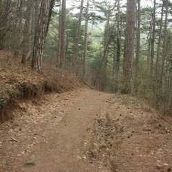 1 Западнее Камдерека