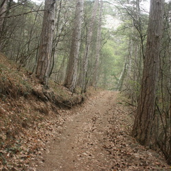 0 Все фото дороги Люка-Камдерек