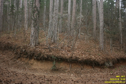 Дорога через низовья Люка и Камдерека
