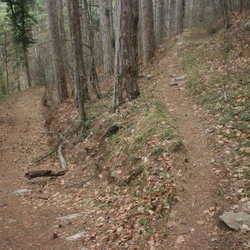  1-2 Западнее Камдерека. Фрагмент старой дороги