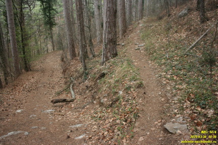 Дорога через низовья Люка и Камдерека