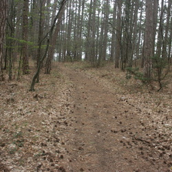 4 Восточнее Камдерека