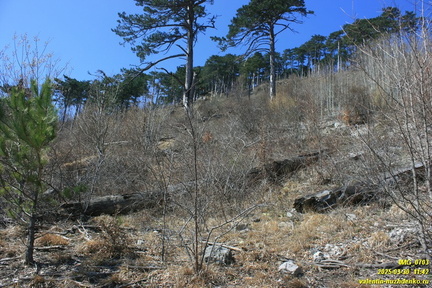 Лапата-Йол. Текнелер