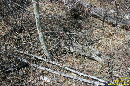 Лапата-Йол. Текнелер