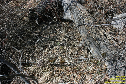 Лапата-Йол. Текнелер