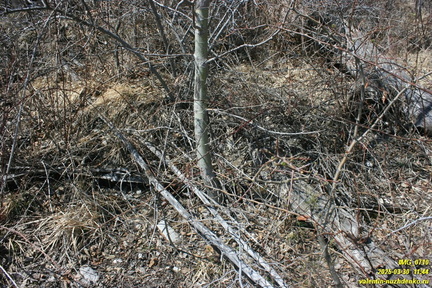 Лапата-Йол. Текнелер