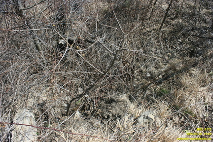 Лапата-Йол. Текнелер