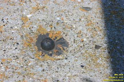 Бабуган-яйла, Крым