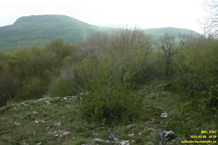 Бабуган-яйла, Крым