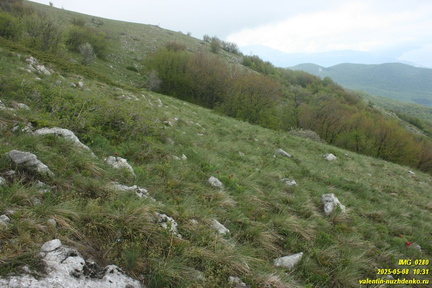 Бабуган-яйла, Крым