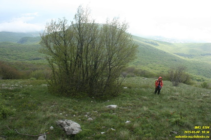 Бабуган-яйла, Крым