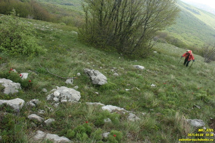 Бабуган-яйла, Крым