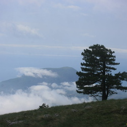 Южный Берег Крыма