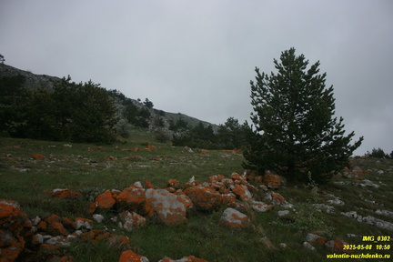 Бабуган-яйла, Крым