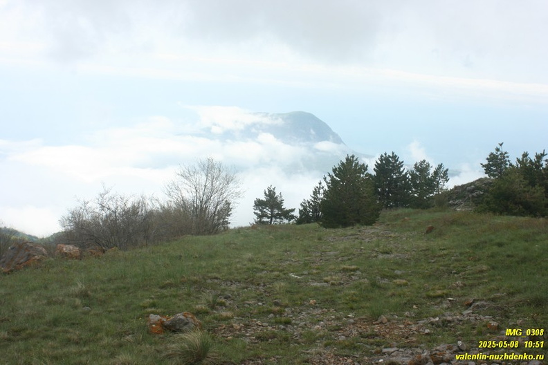 babugan-2025-05-08-33.JPG