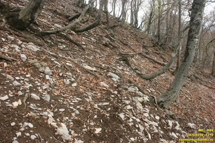 Бабуган-яйла, Крым