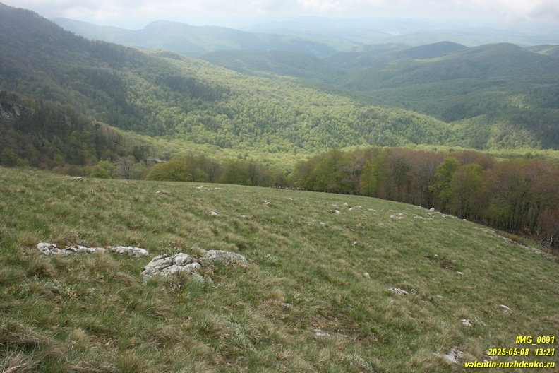 babugan-2025-05-08-331.JPG