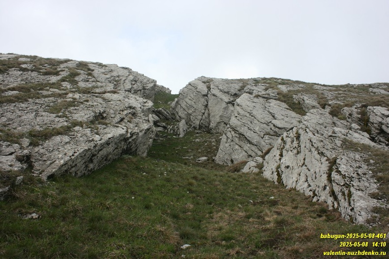 babugan-2025-05-08-461.JPG