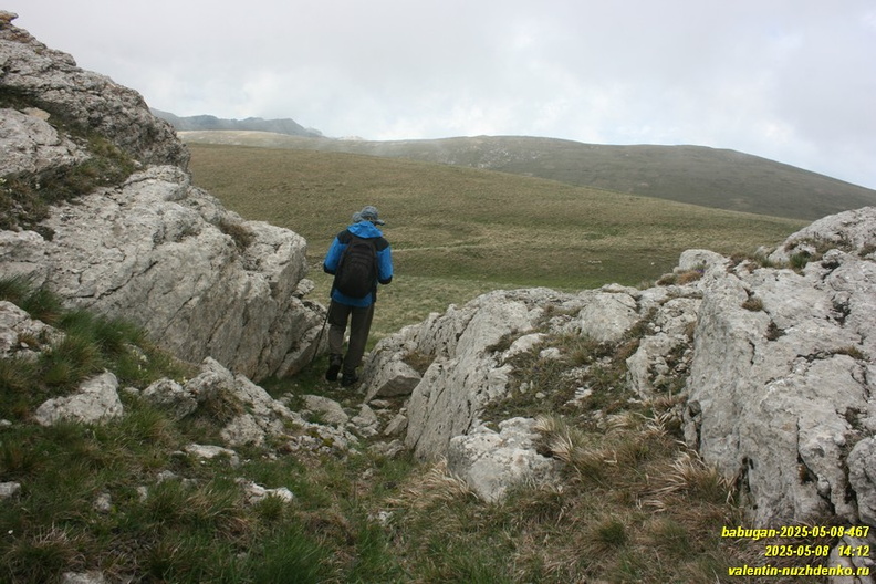 babugan-2025-05-08-467.JPG