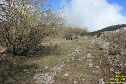 Бабуган-яйла, Крым